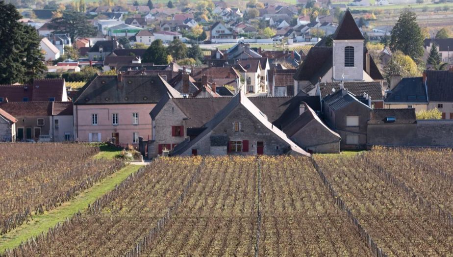 Le guide Michelin va récompenser les vignerons avec les grappes en 2026