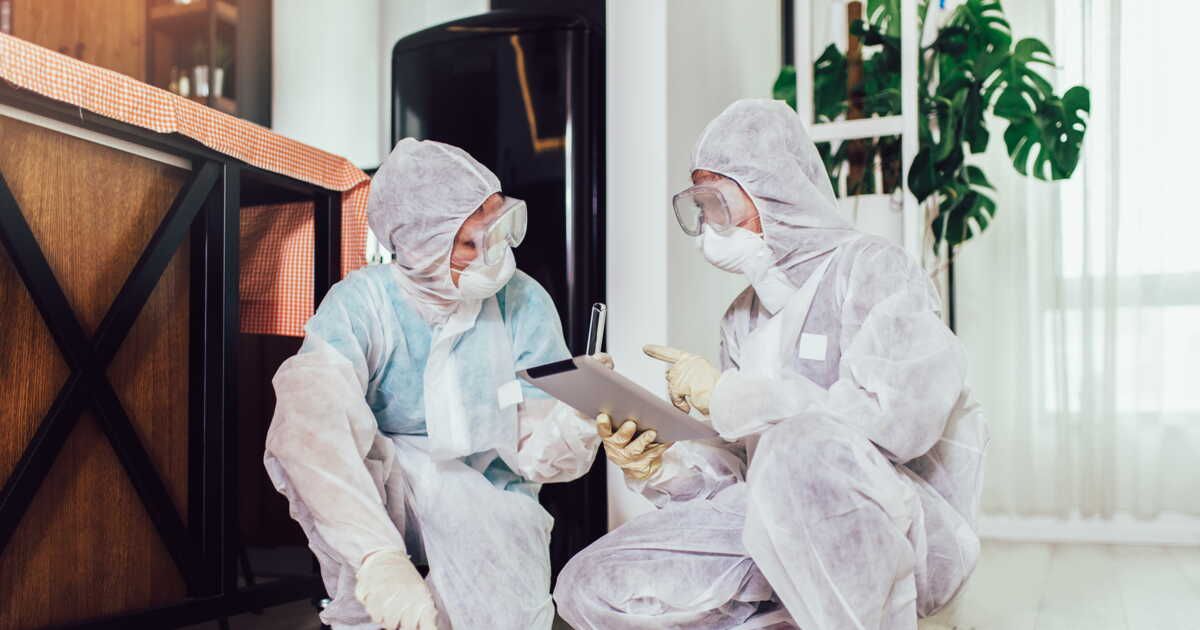 Les erreurs à éviter lors du traitement des punaises de lit