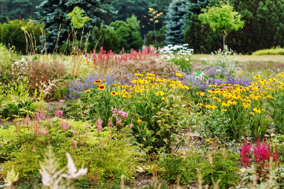 À la découverte de la Saint-Fiacre, le saint protecteur des jardins