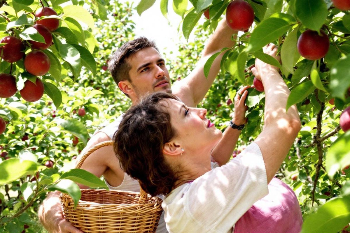 À vos cerises et groseilles : agissez vite pour éviter la menace invisible