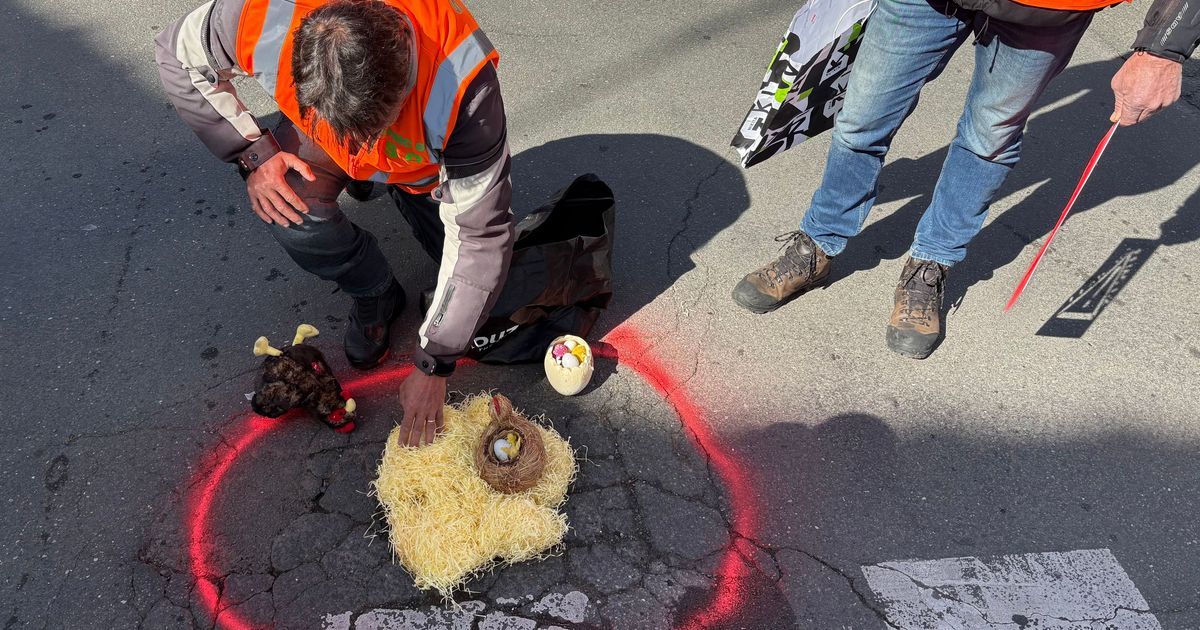 motards en colère dénoncent les nids-de-poule avec humour