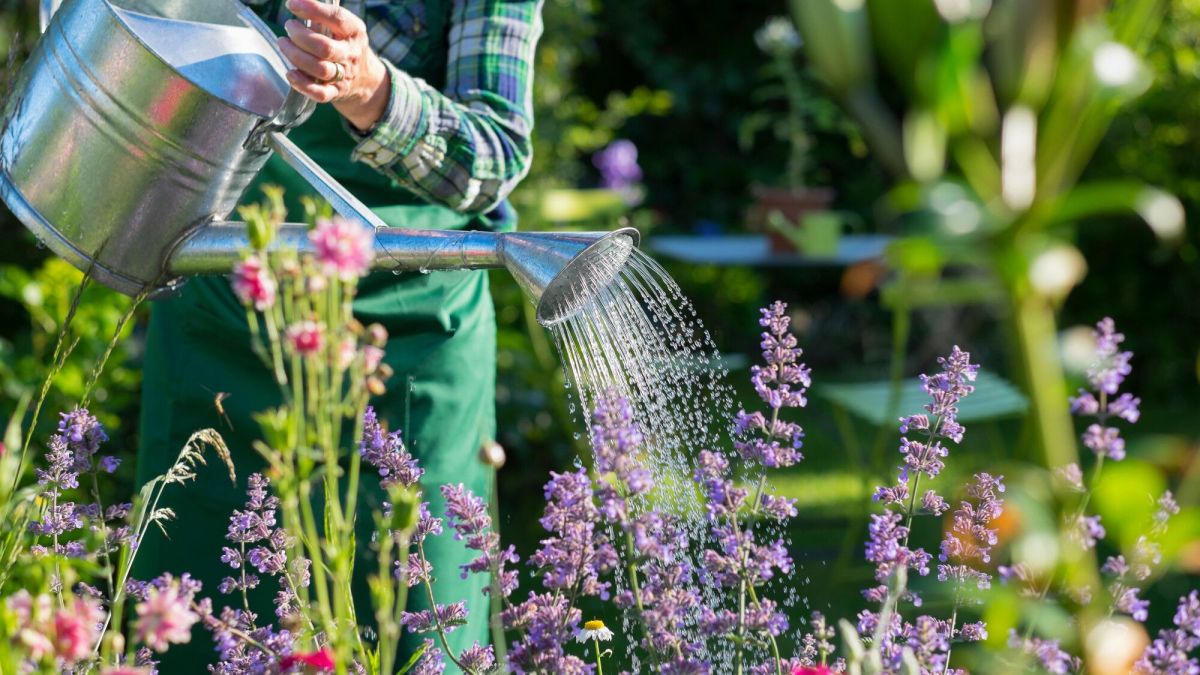 Ce printemps, économisons l'eau au jardin et à la maison