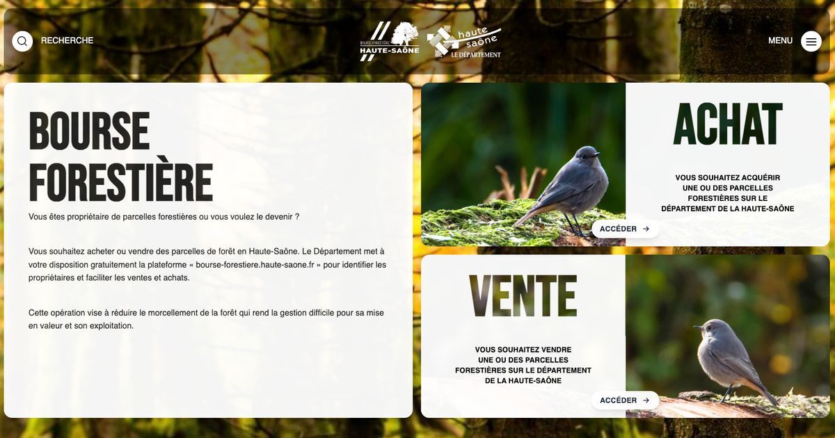 Une bourse forestière innovante pour faciliter la gestion des parcelles