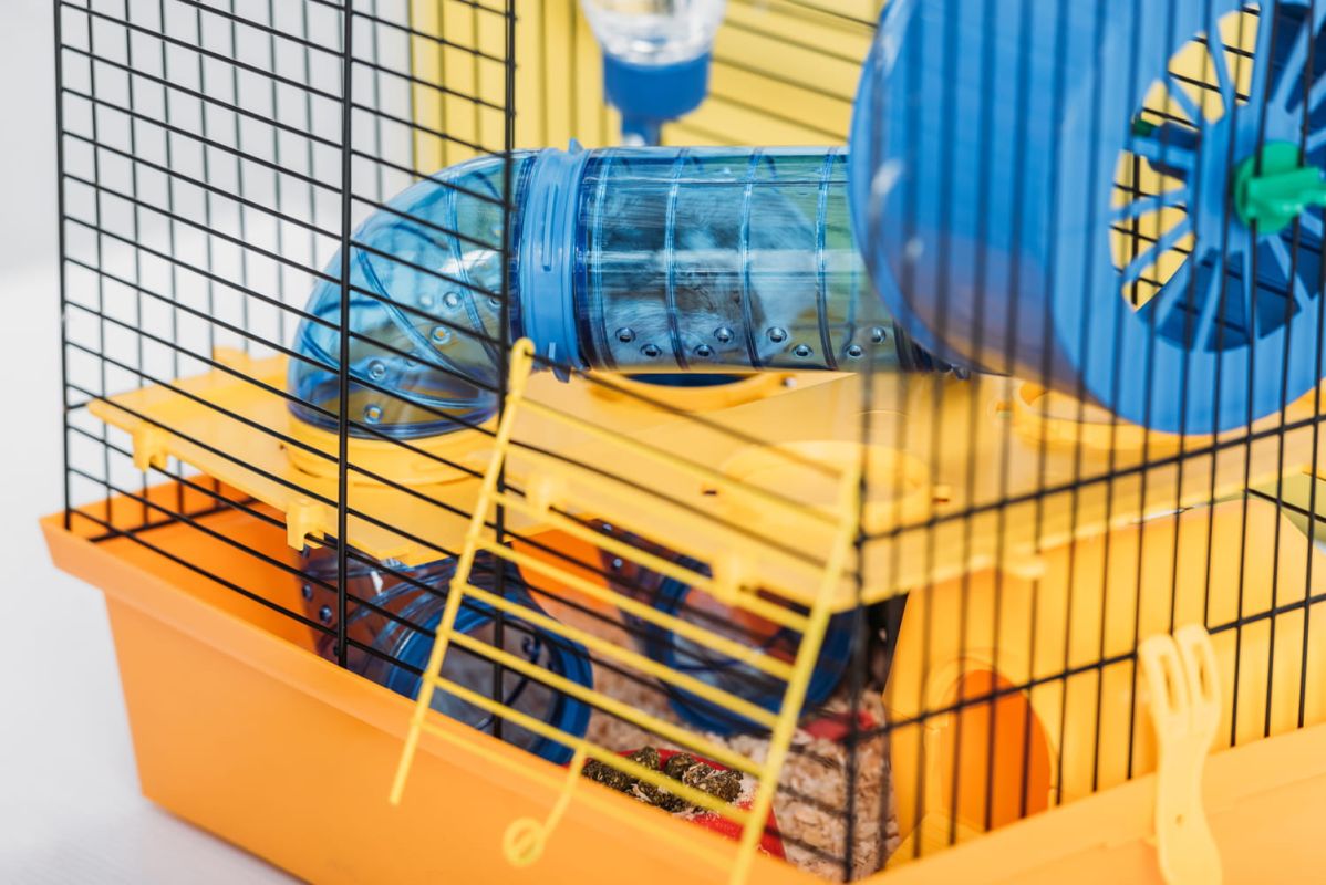 Les cages à privilégier pour votre hamster