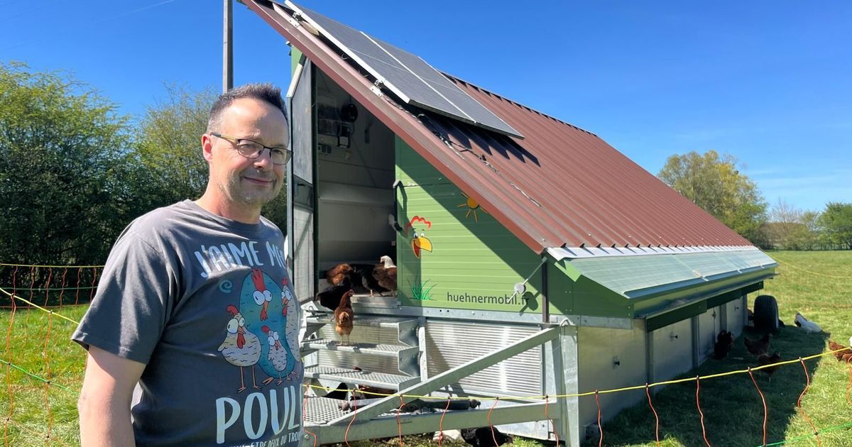Un poulailler mobile révolutionne l'élevage à Saligney
