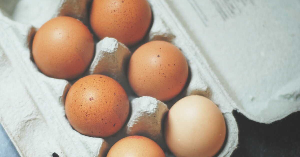 Décoder les œufs : ce que leur coquille révèle vraiment