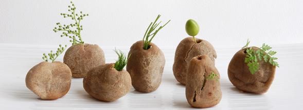 Des designers culinaires à la conquête des supermarchés