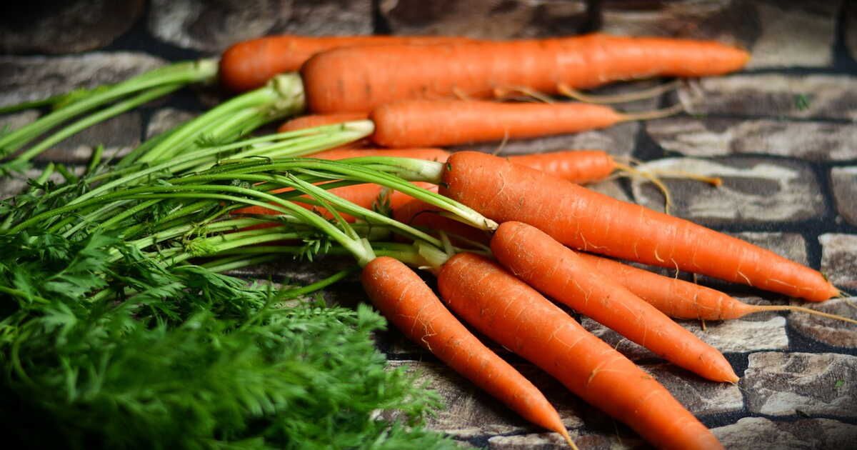 Les secrets d'une purée de carottes parfaitement onctueuse