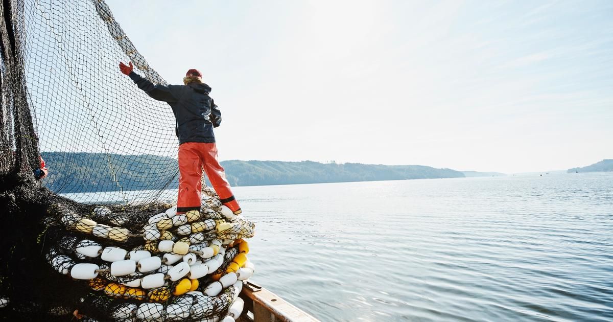 Peut-on encore consommer du poisson de manière responsable ?
