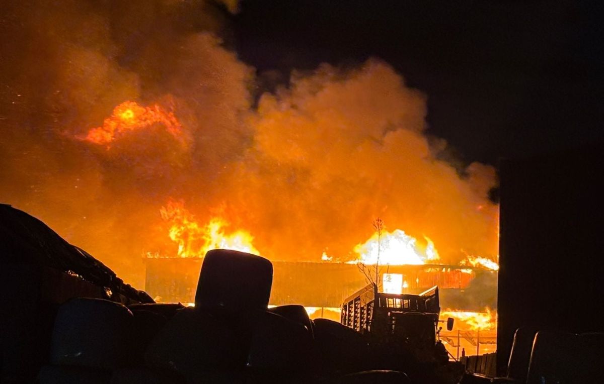 Des élevages en flammes : un drame animalier ignoré en France