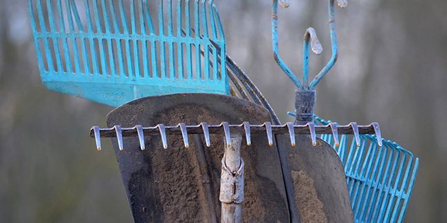 Les essentiels d'un jardinier amateur : 10 outils incontournables