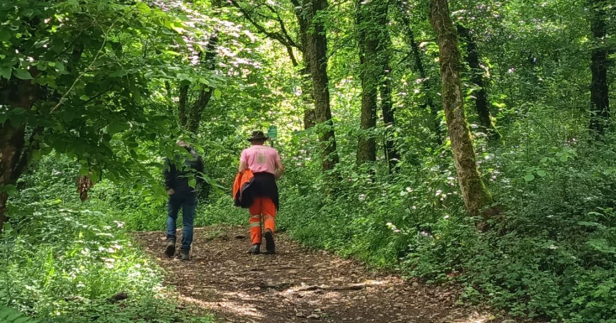 Mobilisation citoyenne pour retrouver une habitante disparue à Montferrand-le-Château