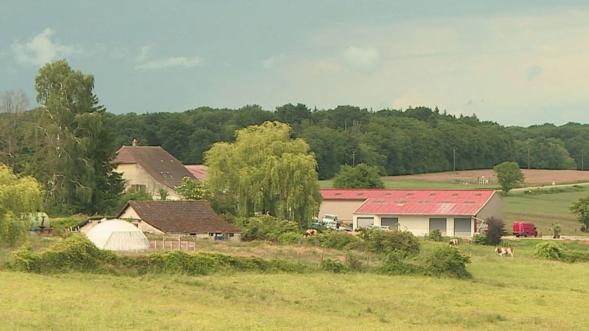 Découverte choc : 230 kilos de cocaïne cachés dans une ferme du Jura