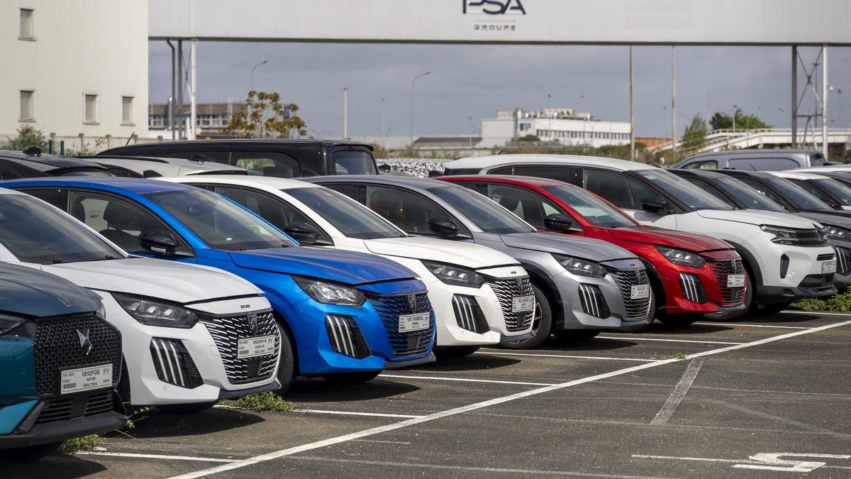 Stellantis mise sur des voitures électriques à prix accessible avec ses nouvelles e-cars
