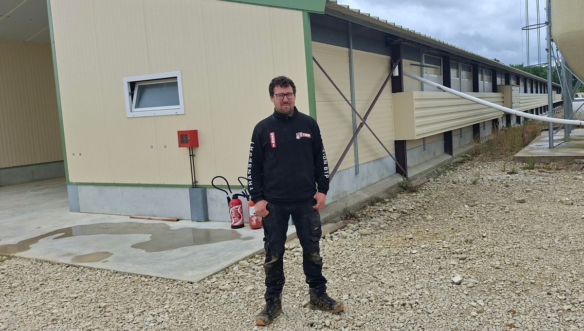 La controverse des poulaillers industriels dans l'Yonne: un avenir incertain