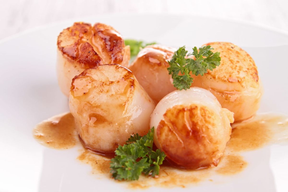 Les secrets de la cuisson parfaite des saint-jacques