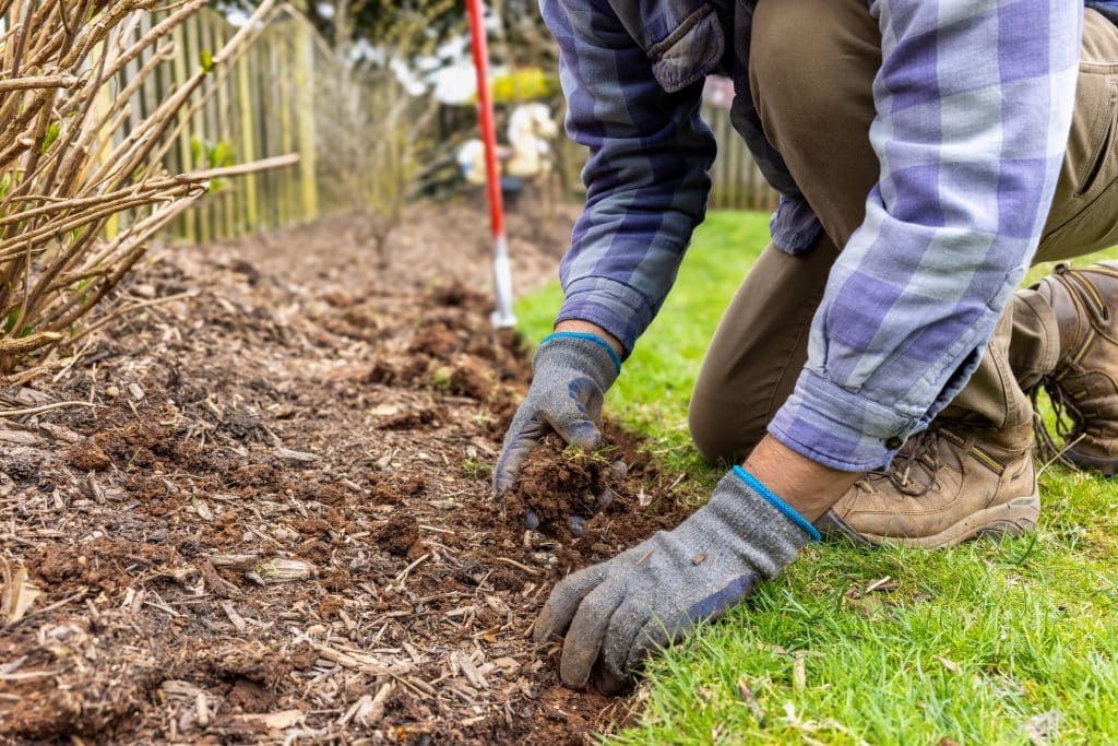 Découvrez les tendances jardin 2025 qui transformeront vos espaces verts