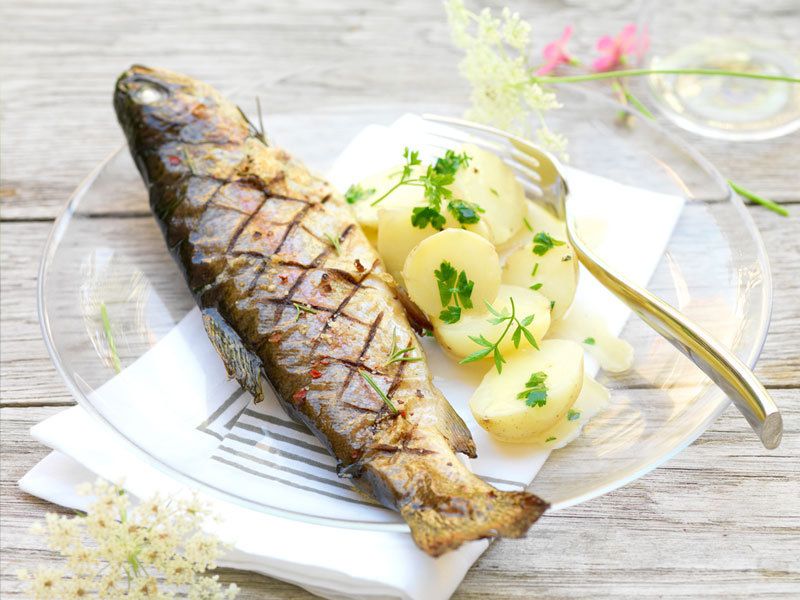 Des recettes légères et savoureuses à base de truite