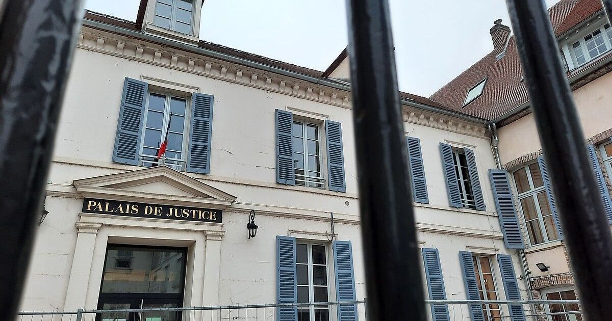 Un élevage illégal d'animaux domestiques révélé en Yonne : trois femmes devant la justice