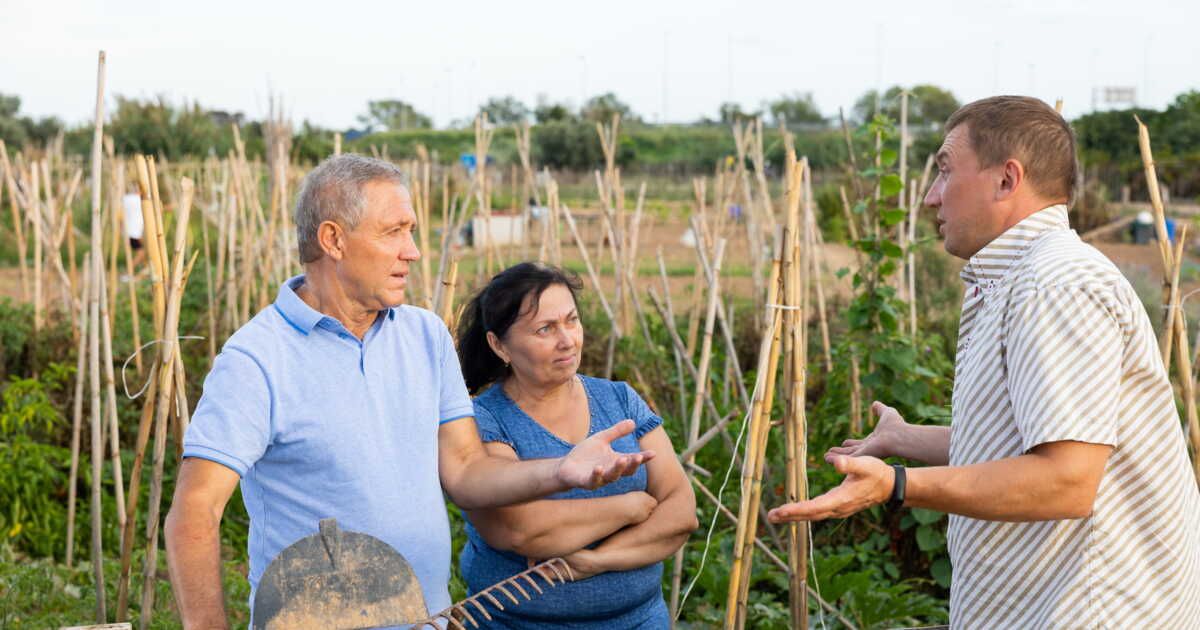 Comment gérer un voisin dont le jardin est à l'abandon ?