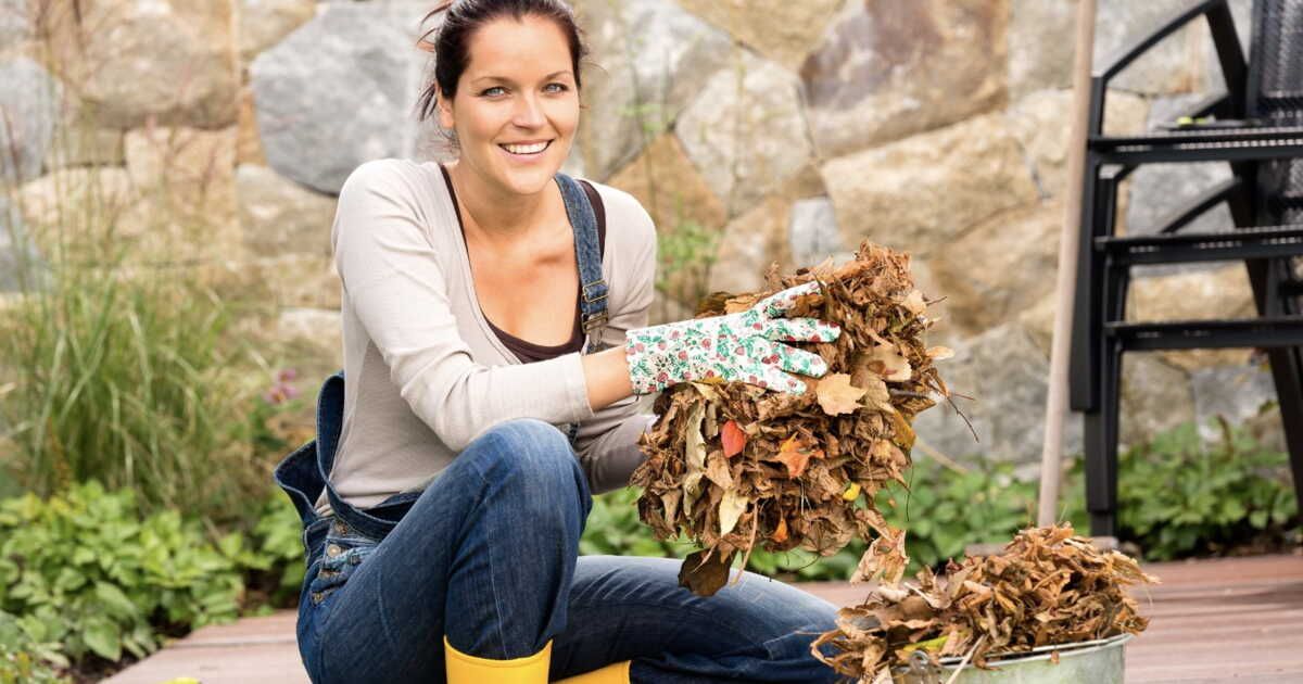 Préparation de votre jardin pour l'hiver : les essentiels à connaître