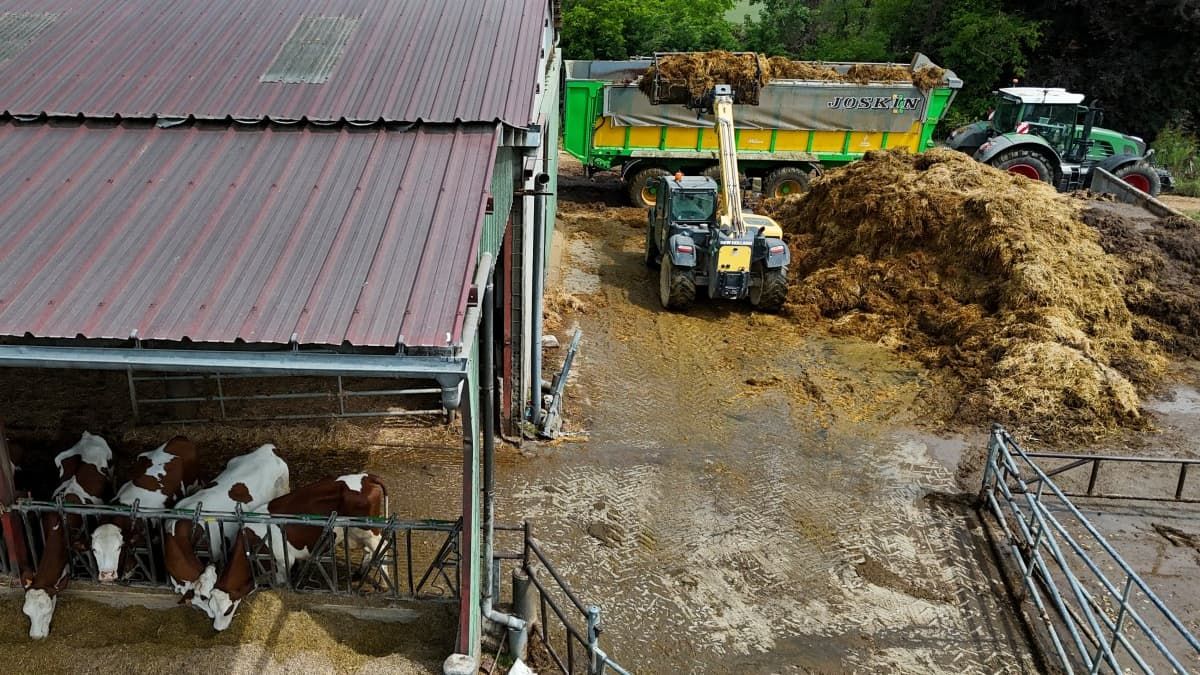 Des agriculteurs en détresse face à une flambée des vols: l'Assemblée resserre la vis