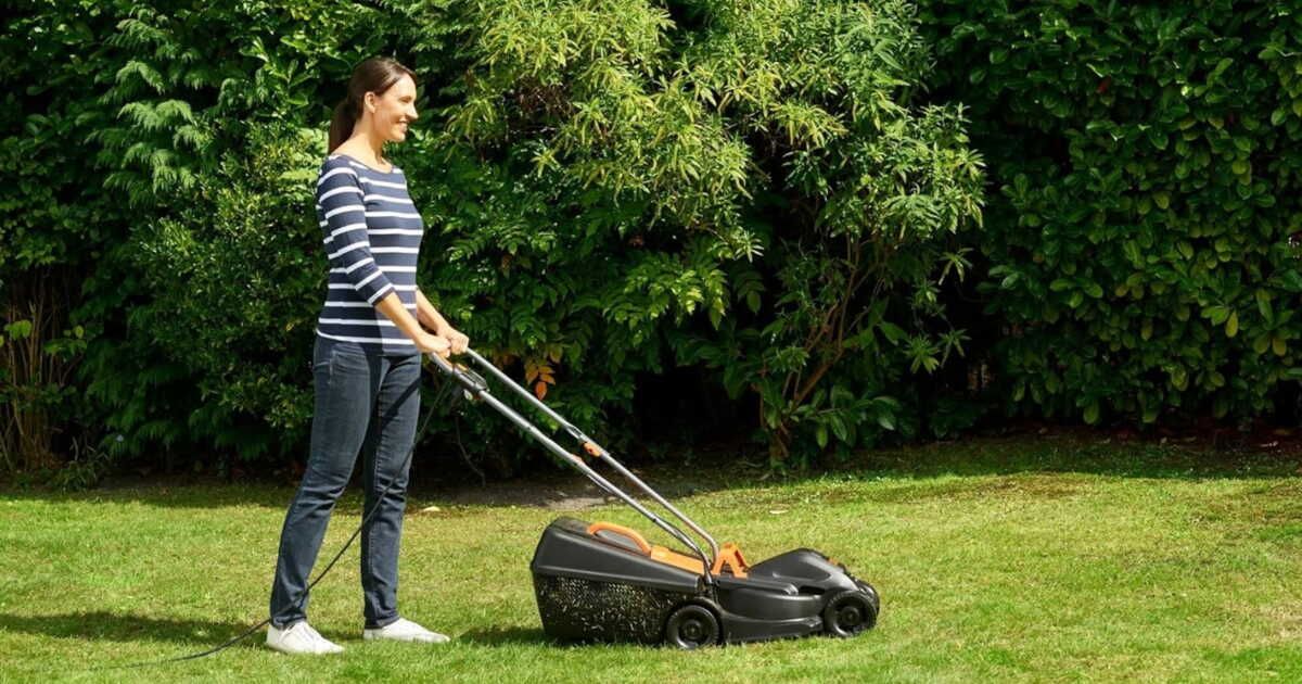 Transformez votre jardin avec cette tondeuse à gazon à prix imbattable