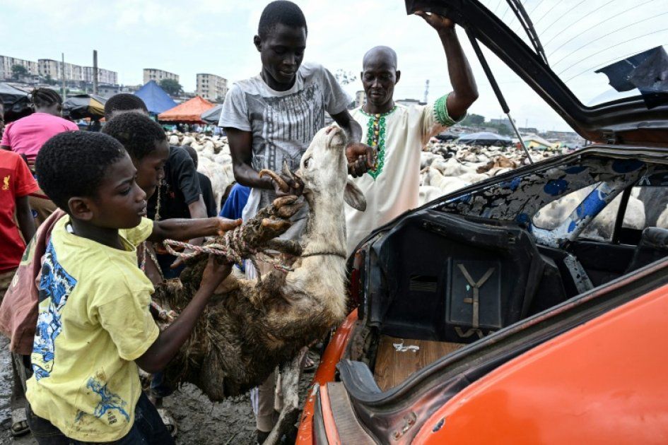 La flambée des prix des moutons en Côte d'Ivoire, une tradition en péril
