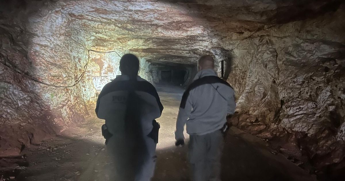 l'OFB intensifie la protection des chauves-souris dans les grottes du Doubs