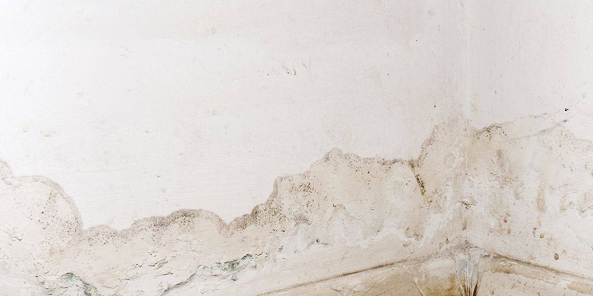 Remontée capillaire : des solutions pour préserver votre logement
