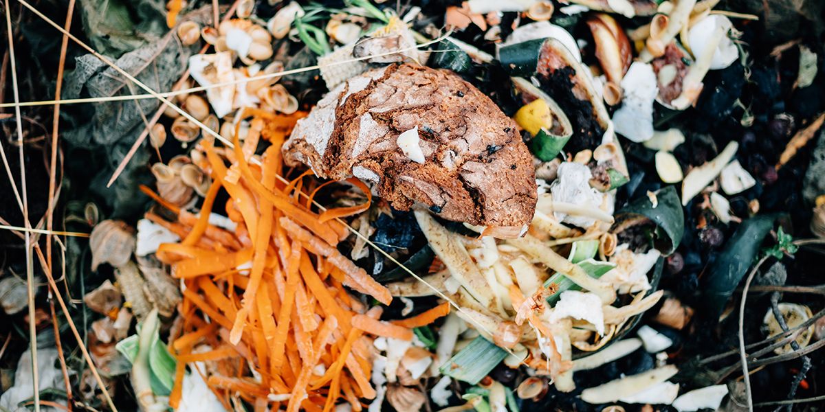Jeter le pain au compost : ce qu'il faut vraiment savoir