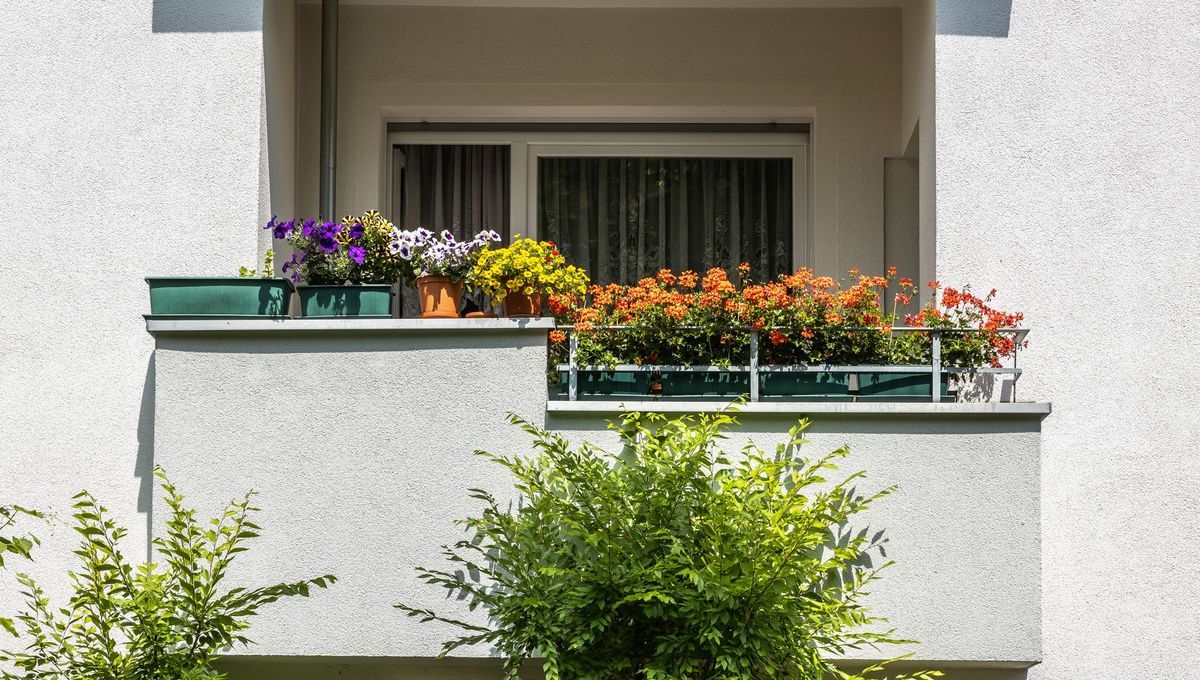 Montbéliard célèbre l’arrivée des inscriptions pour le concours des maisons fleuries