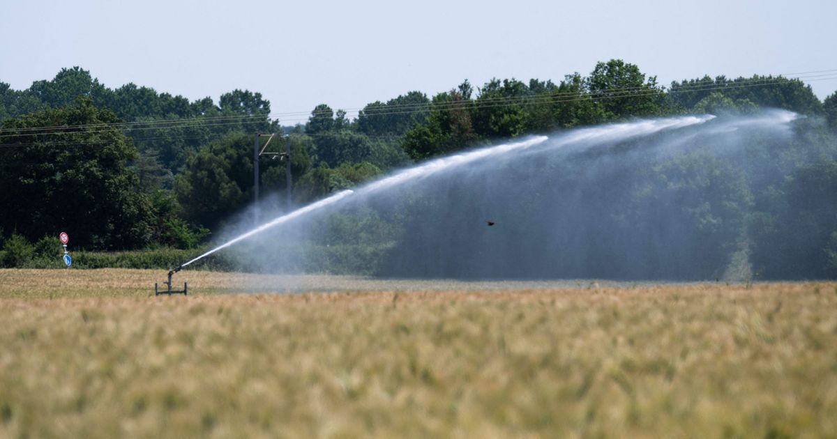Saône-et-Loire en alerte sécheresse : une situation préoccupante