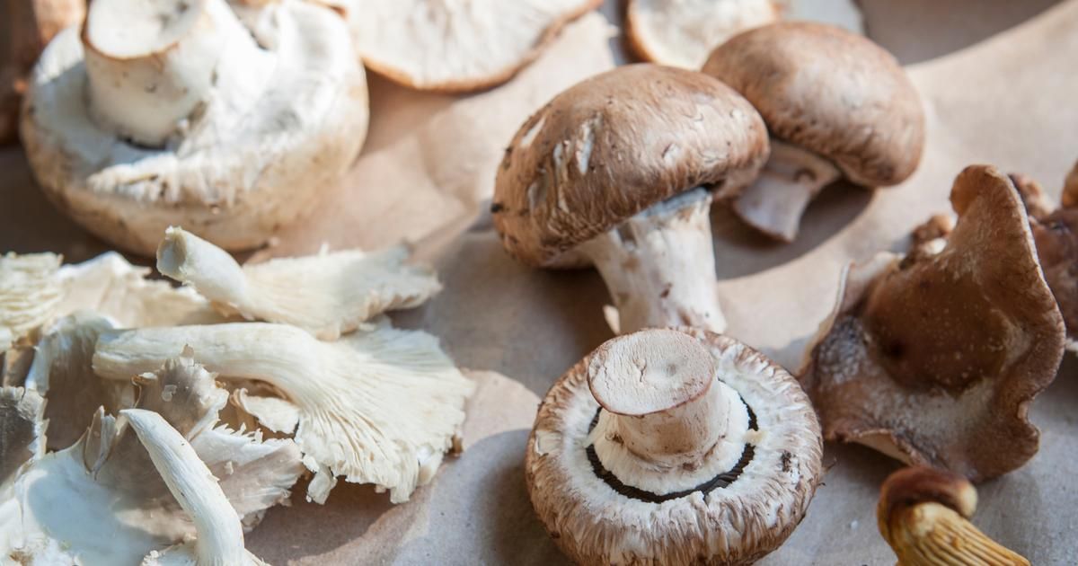 Les erreurs courantes à éviter lors de la dégustation des champignons