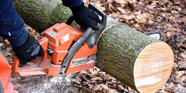 Choisir la tronçonneuse idéale : conseils pratiques et modèles adaptés