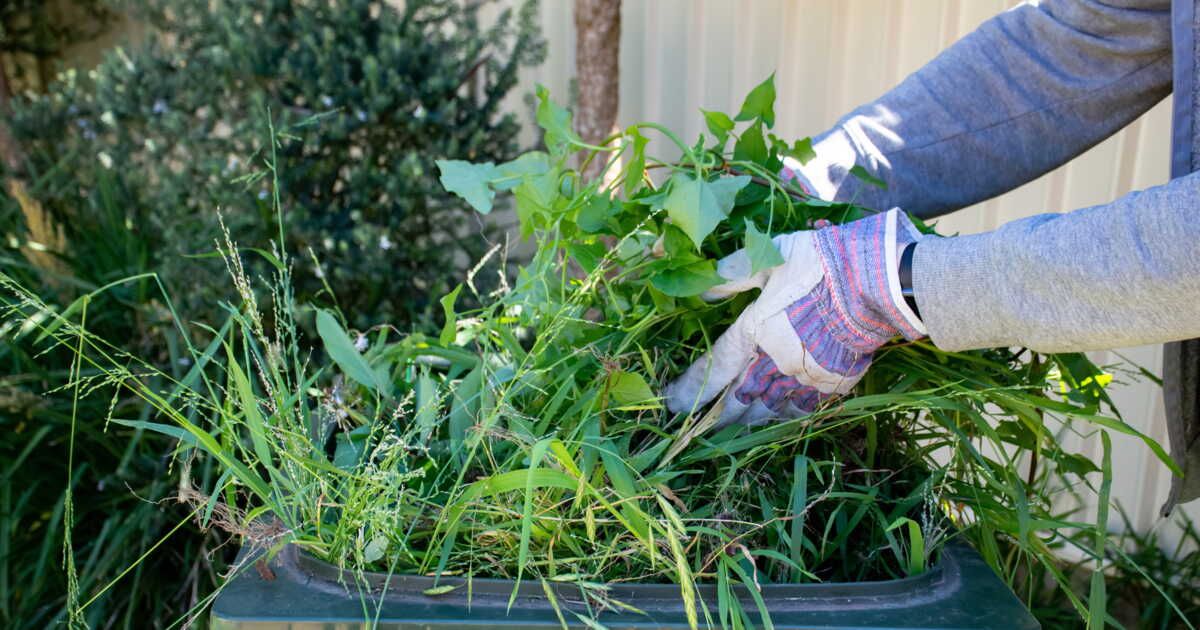 Brûler des déchets verts dans son jardin : ce que dit la loi