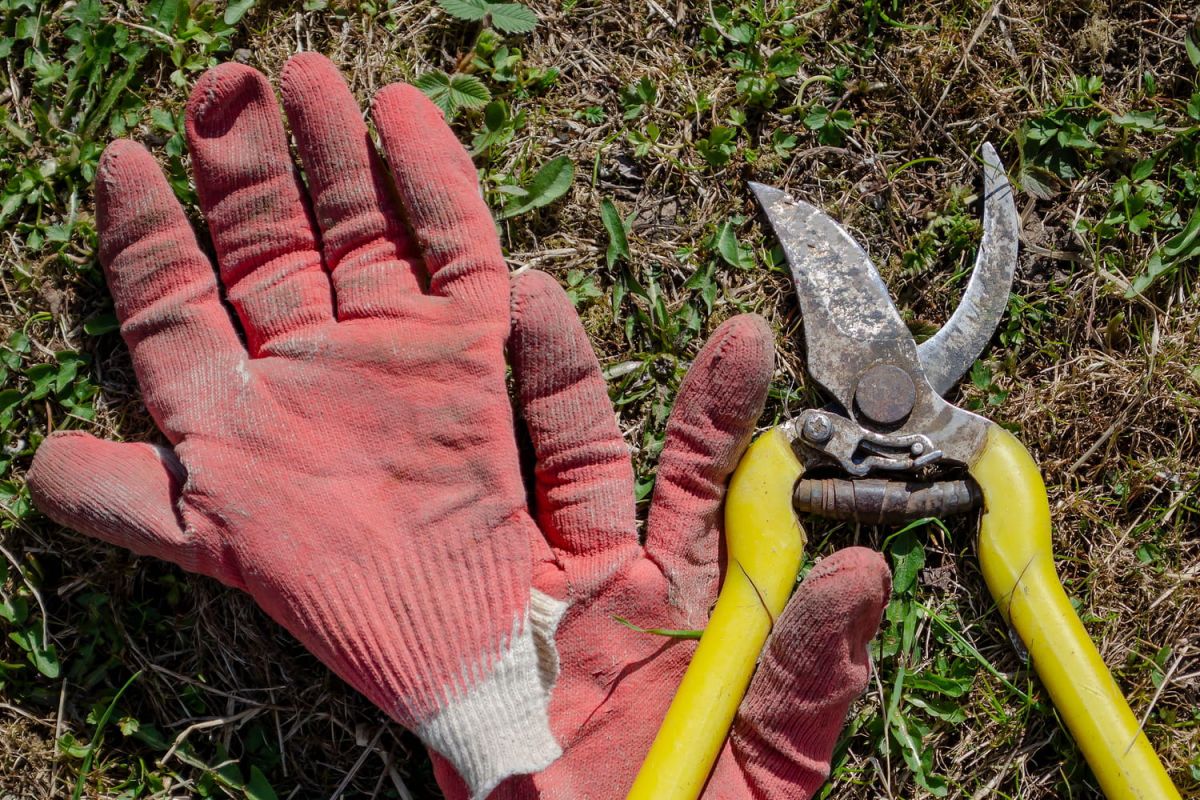 Préparez vos outils de jardin pour le printemps : astuces essentielles