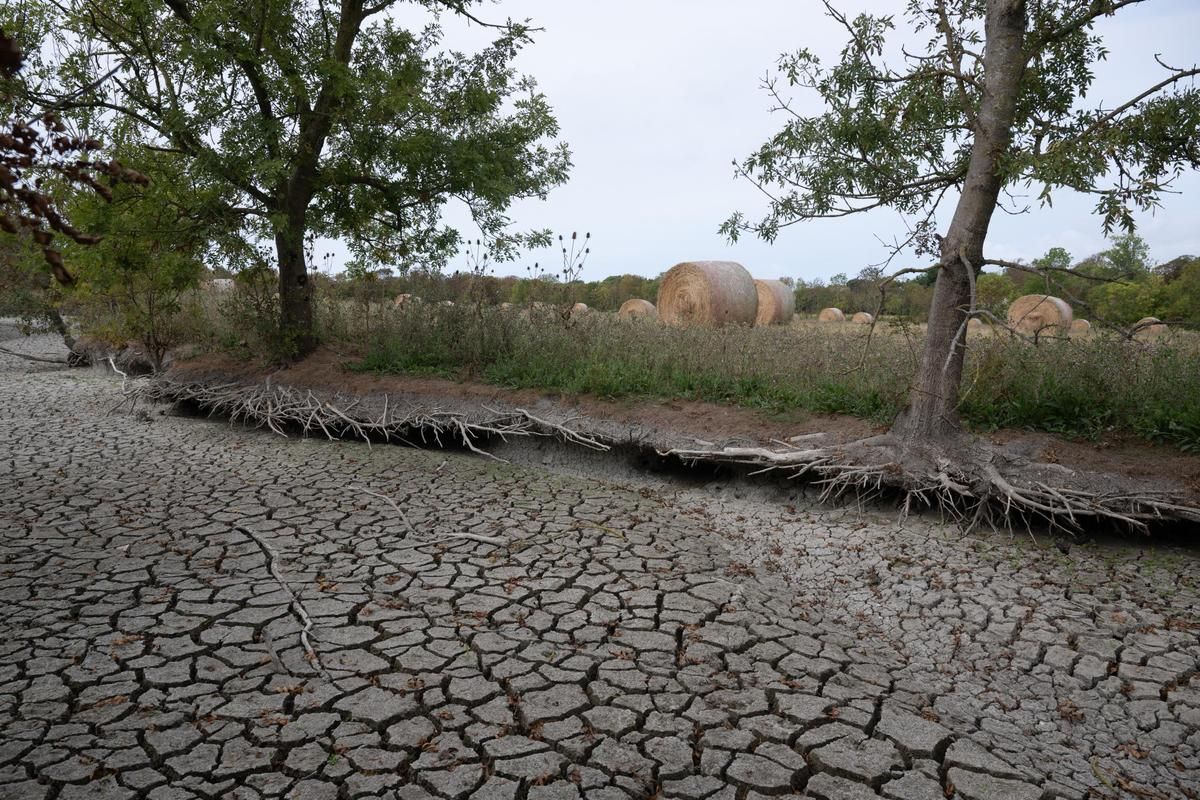 Conséquences inquiétantes d'El Niño : l'ONU prédit des événements extrêmes imminents