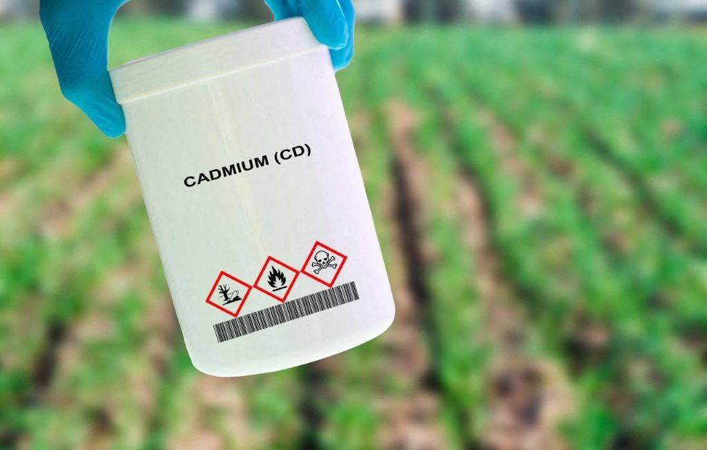 Remboursement des tests de dépistage au cadmium : une avancée pour la santé des Français