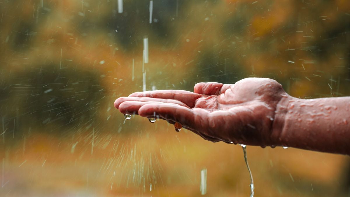 Optimiser l’usage de l’eau de pluie : ce qu’il faut savoir