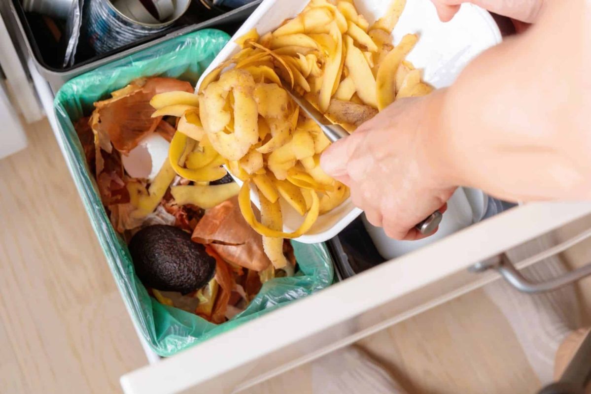 Transformez vos épluchures en compost express et dynamisez votre jardin