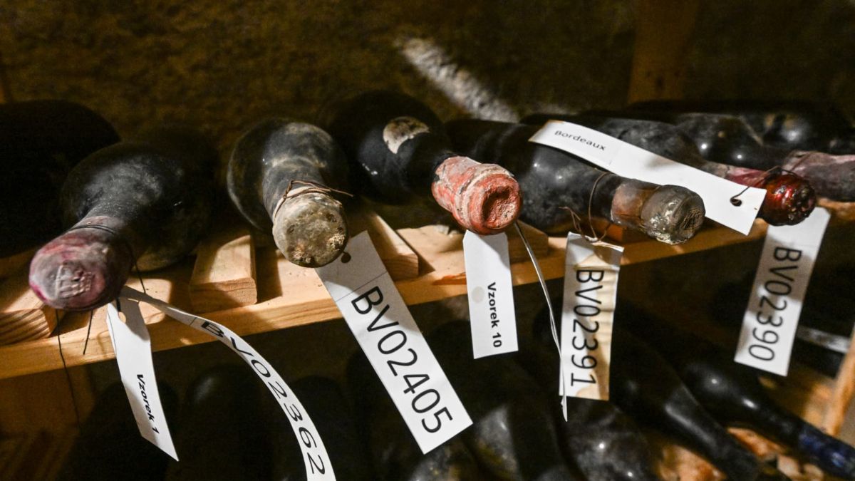 Une découverte inattendue : des bouteilles de vin centenaires révélées sous un plancher tchèque