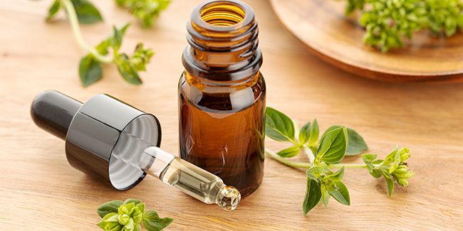 Lutter contre le mildiou grâce aux huiles essentielles