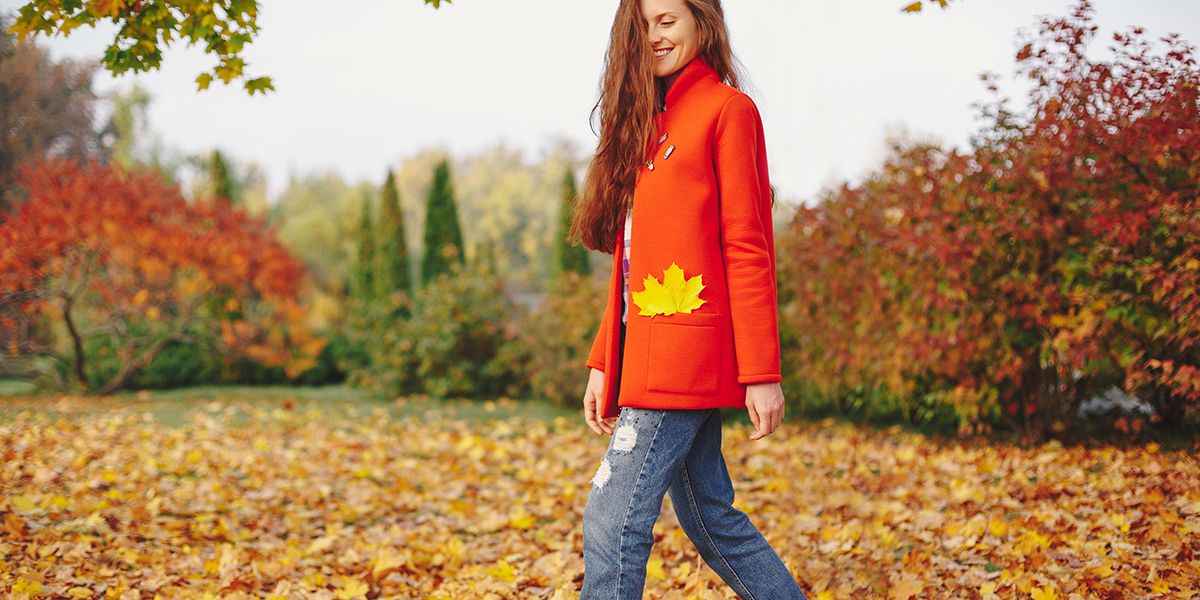 Dites adieu aux feuilles : 5 raisons de les laisser au sol cet automne