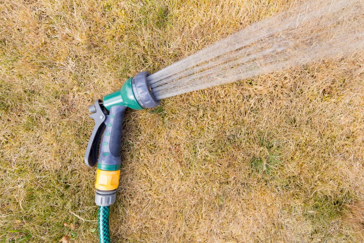 Arroser son jardin pendant la canicule ou en période de sécheresse