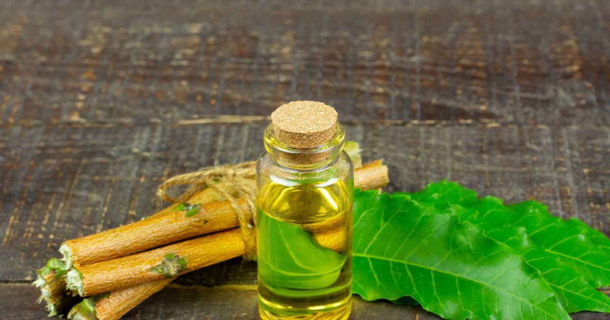 Des astuces écolos pour éliminer les termites efficacement