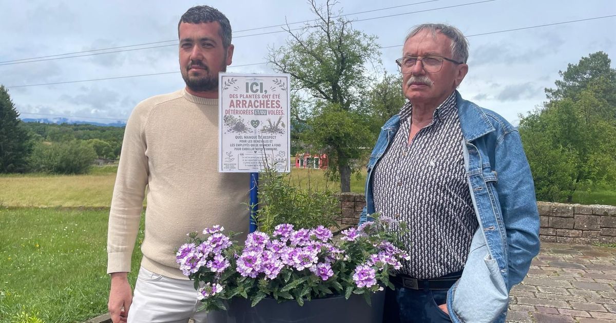 Vols de fleurs à Fontaine : une commune mobilisée face à l’insupportable