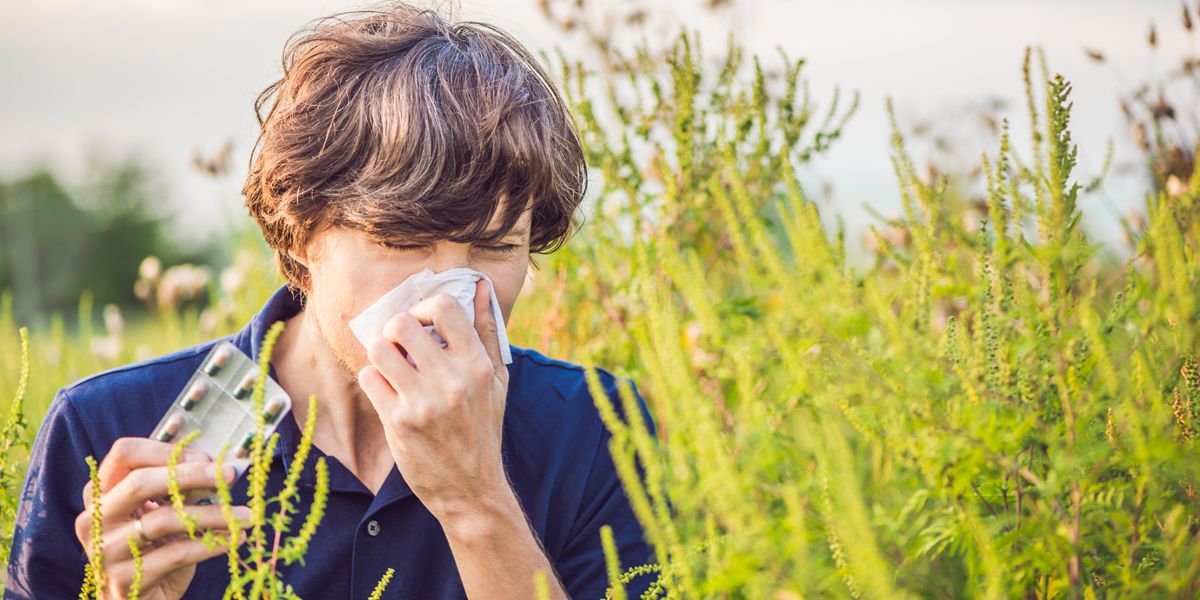 Les allergies au pollen : comprendre et lutter contre ce fléau printanier
