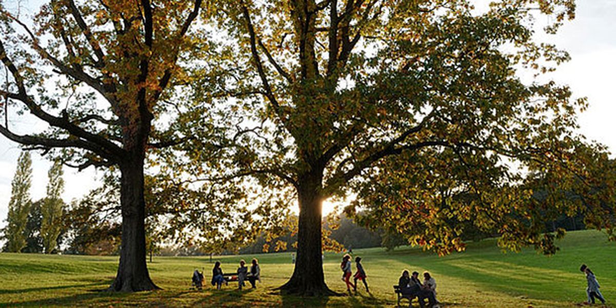 Parc du Domaine de Lacroix-Laval – Rhône (69)