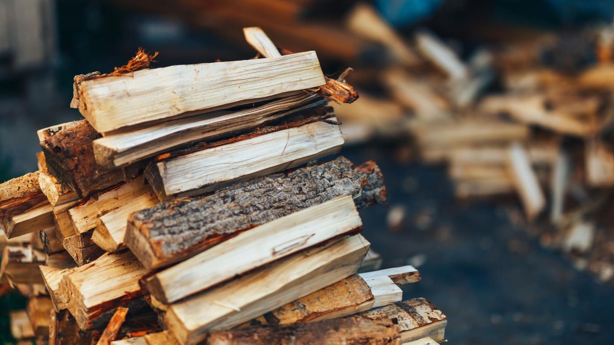 Bois de chauffage : des prix qui varient selon votre région, faites le bon choix